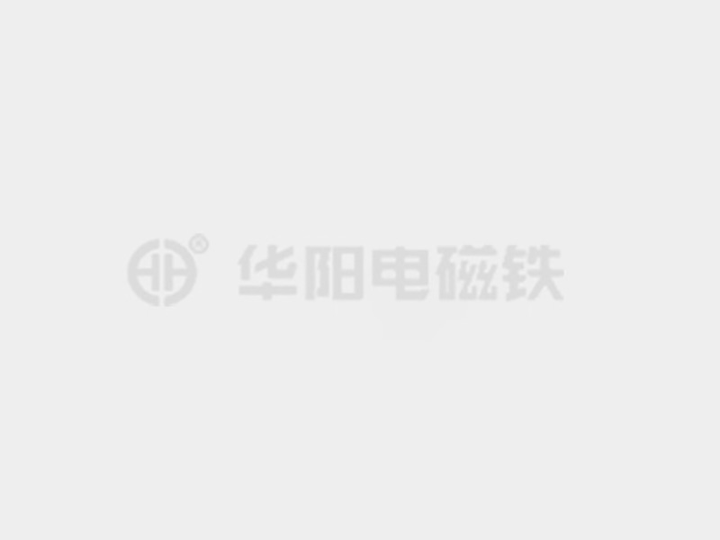 天堂网站鸡插嫩逼防爆电磁铁的储存和维护较佳实践！